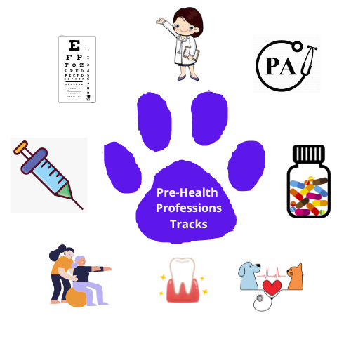 Pre-Health Professions Tracks