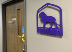 Office of Title IX