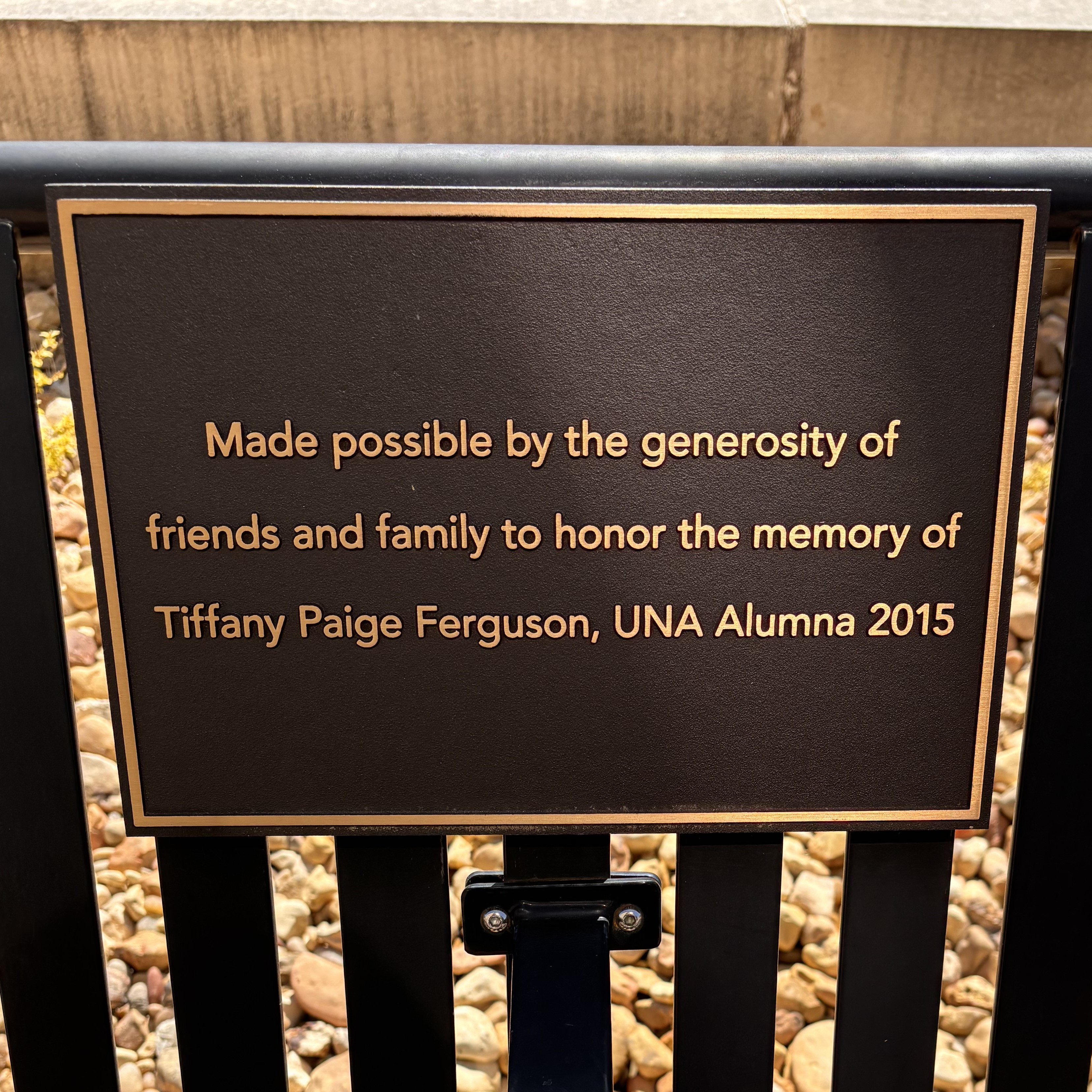 bench-hhp.jpeg