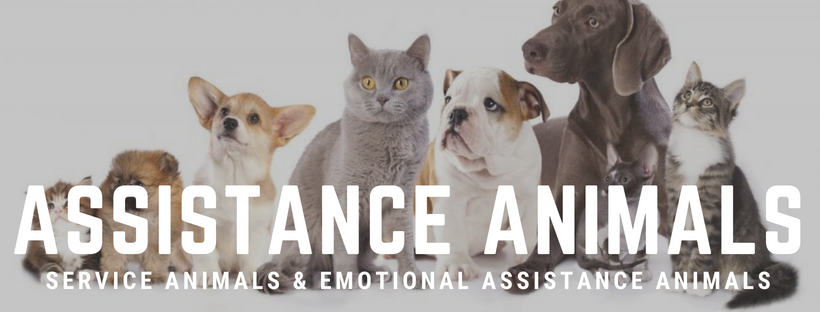 Assistance Animals