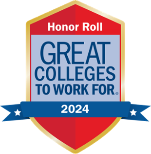 Great Colleges 2024