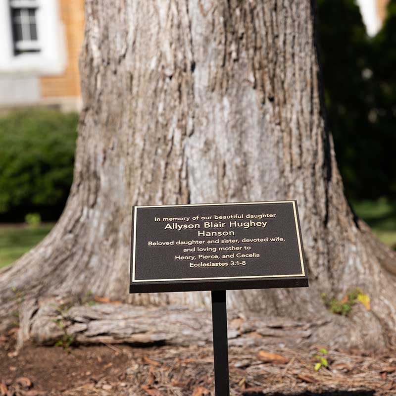 image of inscribed plaque in front of tree