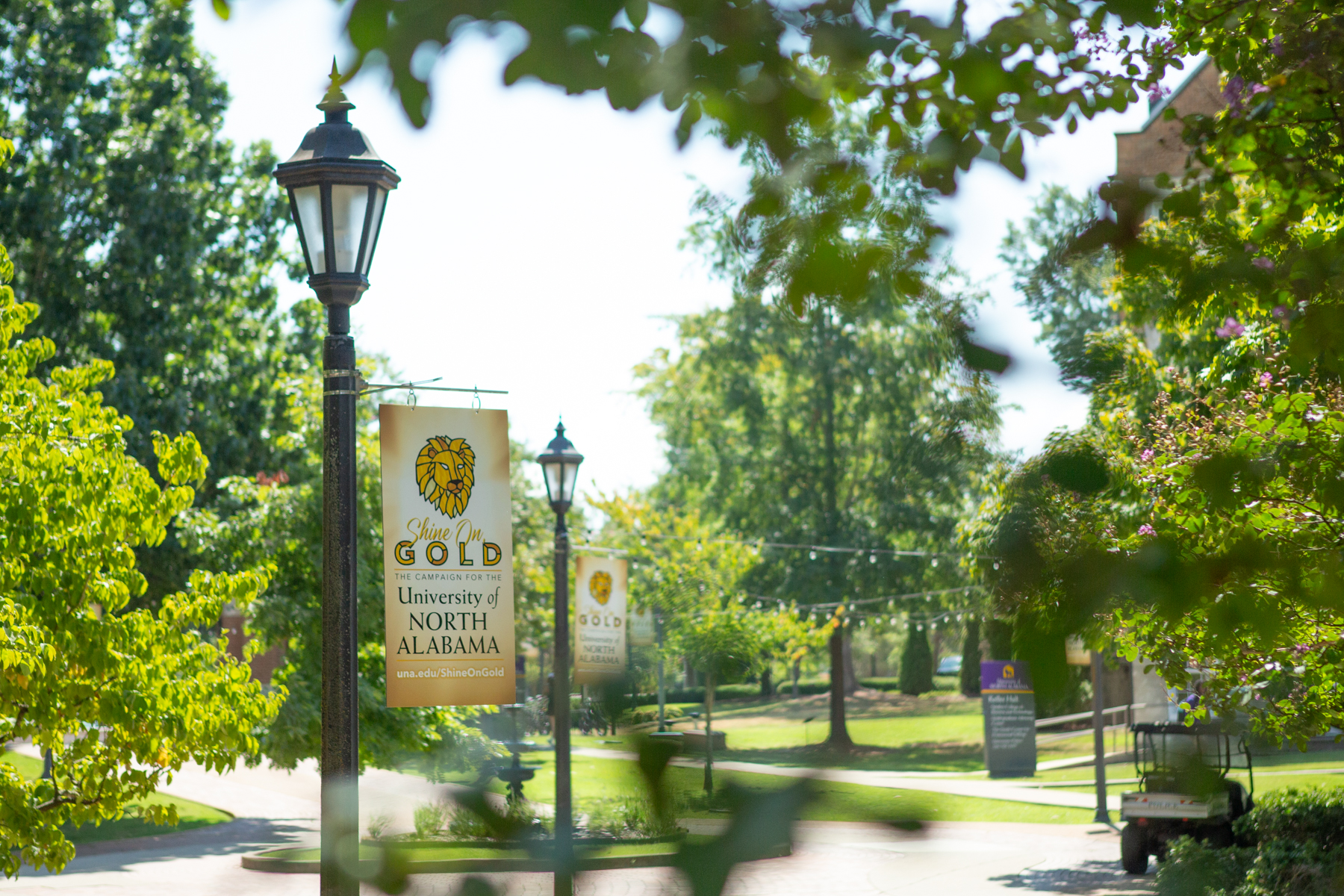 Shine On, Gold Banners have been placed on campus and in the downtown as a reminder to all that UNA is in the midst of an historic comprehensive campaign.