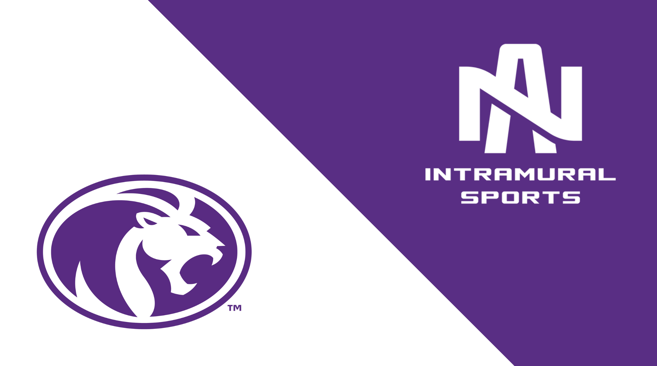 Intramural Sports Program