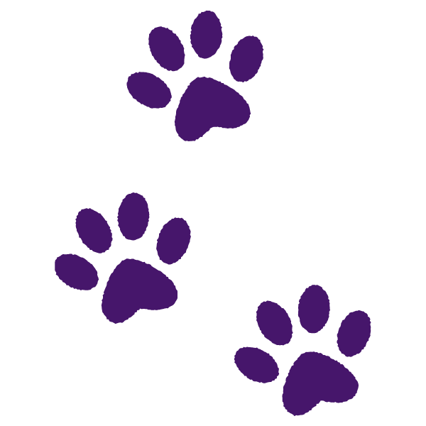 Three purple paw prints