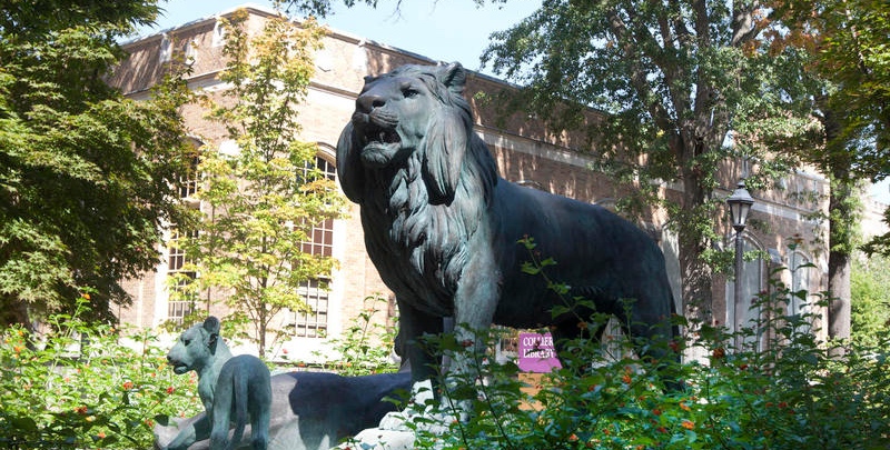 library-with-lion.jpg